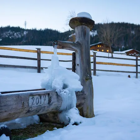 Almfrieden Semesterbostad Werfen